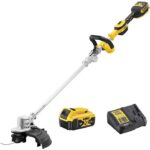 DeWalt Power tools DCMST561P1