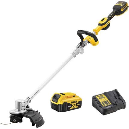 DeWalt Power tools DCMST561P1